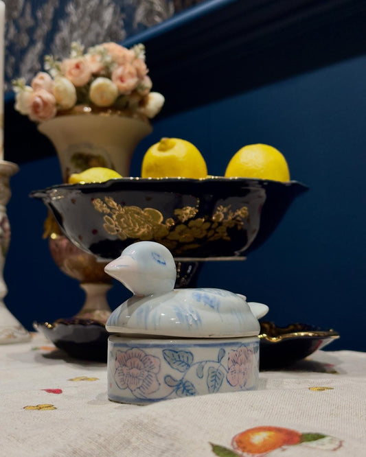 صبانة بطة فنتج