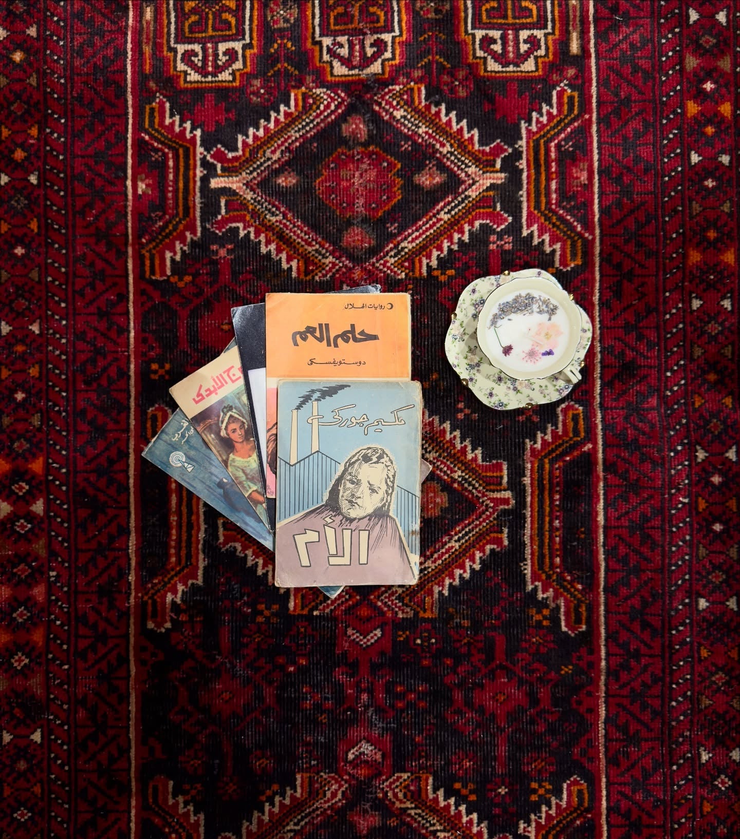 مجموعة روايات روسية فنتج
