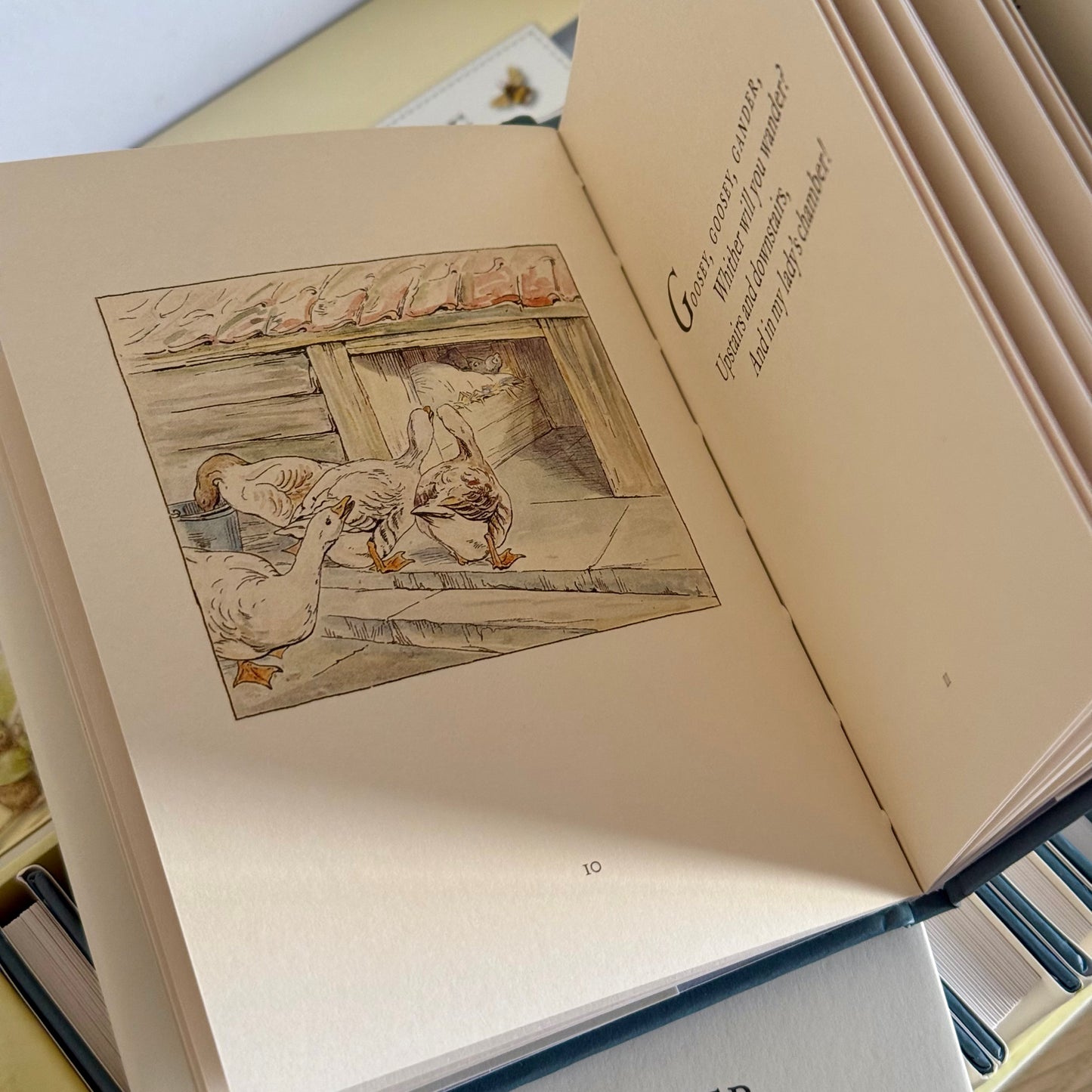 مجموعة كتب peter rabbit